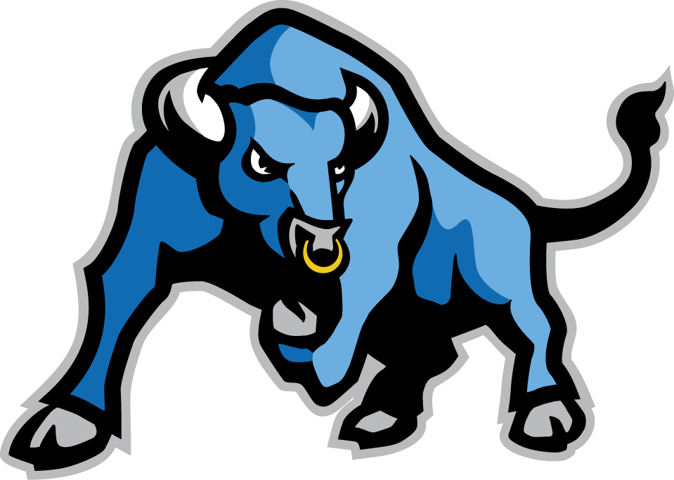 Buffalo Bulls 2007-Pres Alternate Logo iron on transfers for clothing